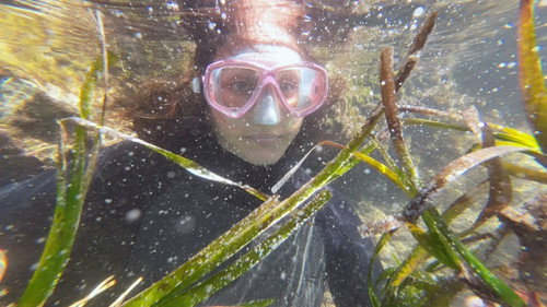The seagrass rescuers from the Balearic Islands still