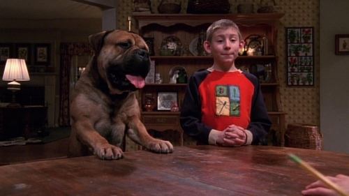 undefined Season 3 Episode 17 - Dewey's Dog