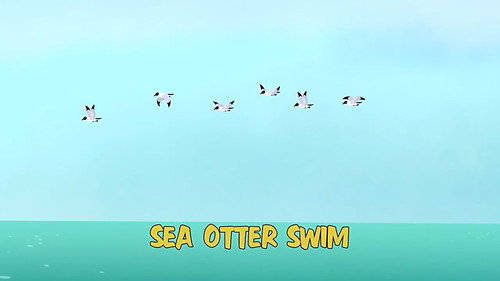 Wild Kratts Season 4 Episode 5 - Sea Otter Swim