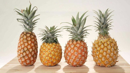 Trails to Oishii Tokyo Season 7 Episode 9 - Pineapple