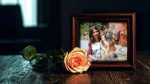 Murdered at First Sight Season 3 Episode 2 - A Mother's Absence: Michelle Gunshon