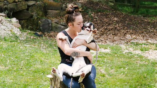 Pit Bulls and Parolees Season 14 Episode 5 - Escaping Death