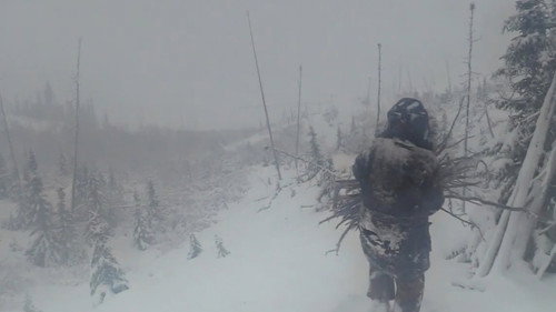 Alone Season 9 Episode 11 - Fight, Flight or Freeze