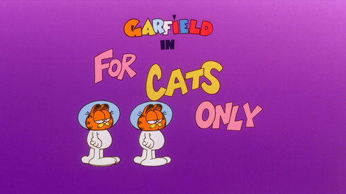 For Cats Only still