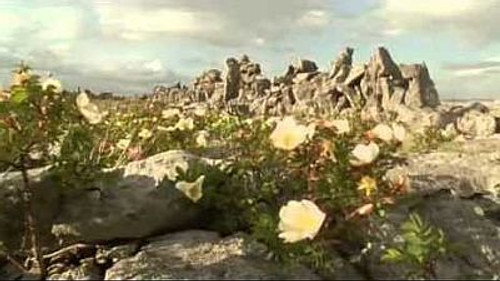 Natural World Season 22 Episode 16 - Ireland: Sculpted Isle