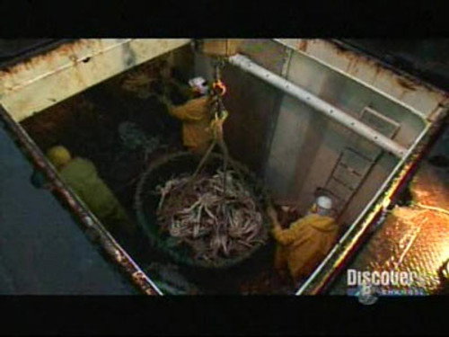 Deadliest Catch Season 3 Episode 6 - The Last Lap