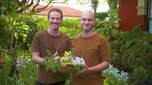 Gardening Australia Season 32 Episode 11 - Episode 11 Pruning Citrus, Historic Garden & Berry Pot