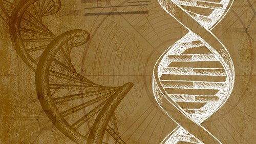 Inner Evolution Season 1 Episode 1 - Empowered Genetics