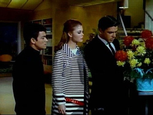 The Green Hornet Season 1 Episode 24 - Hornet Save Thyself