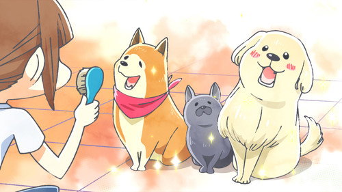 With a Dog AND a Cat, Every Day Is Fun Season 1 Episode 13 - Volunteer