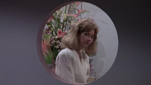 Cheers Season 5 Episode 7 - Young Dr. Weinstein