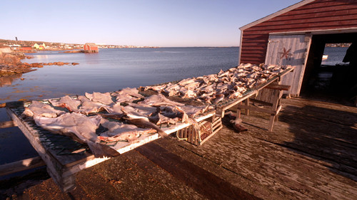 60 Minutes Season 54 Episode 13 - 12/12/2021: Negotiating With the Taliban, Let There Be Light, An Island Off an Island