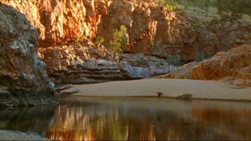 Natural World Season 24 Episode 10 - Australia: Taking The Heat