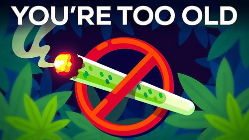 Kurzgesagt - In a Nutshell Season 13 Episode 18 - You Need To Quit Weed.