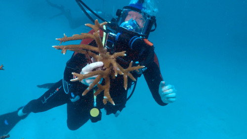 60 Minutes Season 55 Episode 2 - 9/25/2022: The Secretary of State, Inside the Committee, Rescuing Reefs