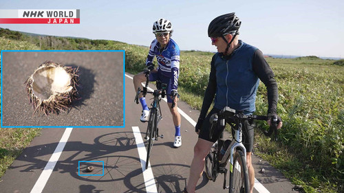 Wild Hokkaido! Season 6 Episode 9 - Cycling Around Rishiri Island