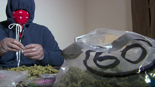 Drugs, Inc. Season 6 Episode 4 - Marijuana Mayhem