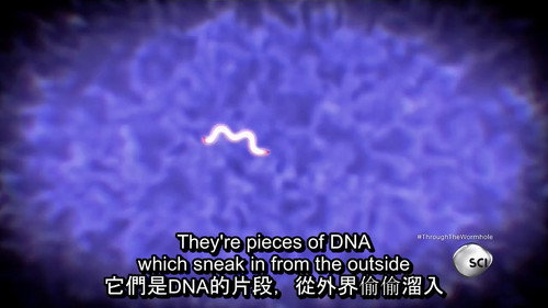 Through the Wormhole Season 6 Episode 5 - Are There Aliens Inside Us?