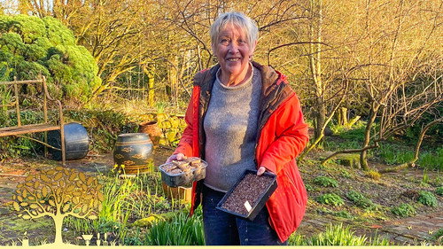 Gardeners' World Season 57 Episode 2 - Episode 2