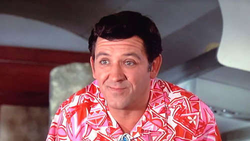 Mayberry R.F.D. Season 2 Episode 10 - Palm Springs, Here We Come