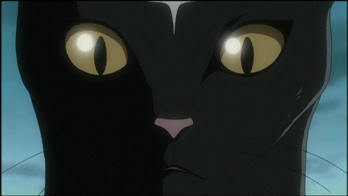 D.Gray-man Season 1 Episode 50 - Feelings of Devotion