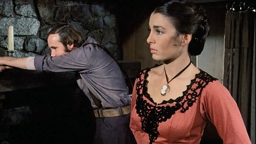 Little House on the Prairie Season 1 Episode 16 - Doctor's Lady