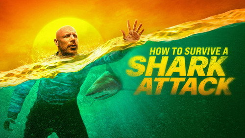 Shark Week Season 38 Episode 8 - How To Survive A Shark Attack