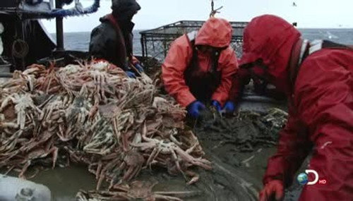 Deadliest Catch Season 8 Episode 14 - Fearless Leaders
