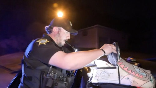 Body Cavity Search still
