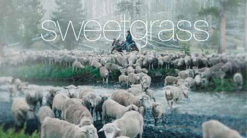 Point of View Season 24 Episode 3 - Sweetgrass