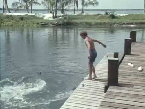 Flipper Season 2 Episode 1 - Flipper and the Mermaid