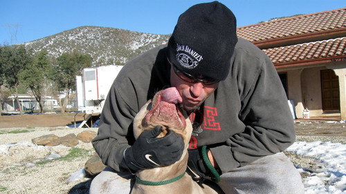 Pit Bulls and Parolees Season 1 Episode 3 - Whiteout