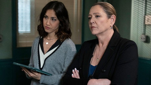 Law & Order Season 23 Episode 12 - No Good Deed