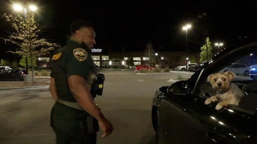 Convenience Store Homicide still