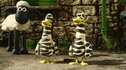 Zebra Ducks Of The Serengeti still