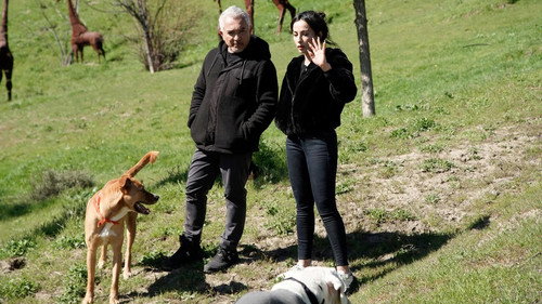 Cesar Millan: Better Human, Better Dog Season 5 Episode 1 - A First for Cesar
