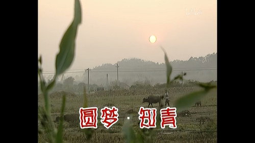 Episode 259 still