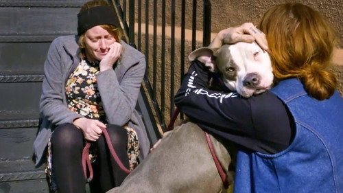 Pit Bulls and Parolees Season 15 Episode 7 - Everything for Emma