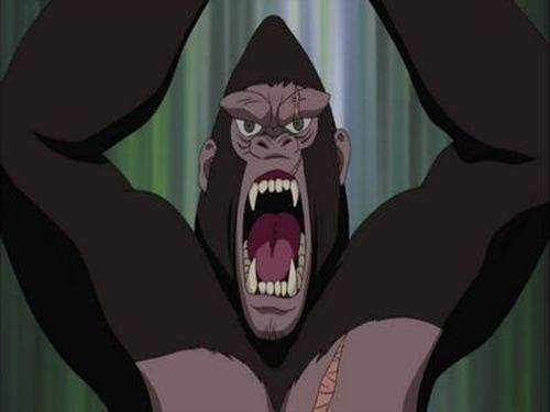 Naruto Shippūden Season 12 Episode 243 - Land Ahoy! Is this the Paradise Island?