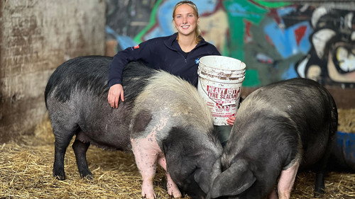 This Farming Life Season 7 Episode 3 - Pig Pandemonium
