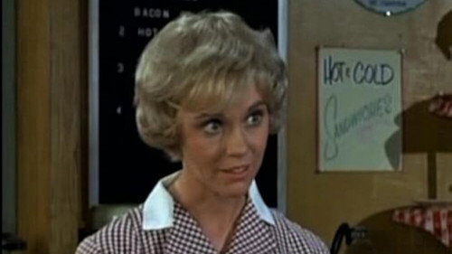 Mayberry R.F.D. Season 3 Episode 15 - Howard the Dream Spinner