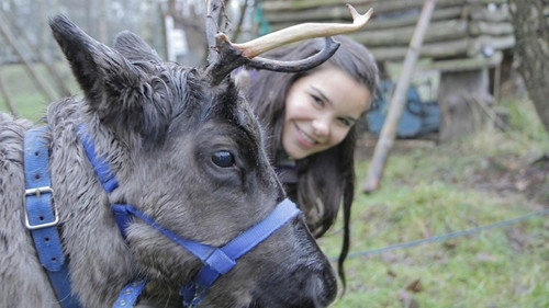 Anna und die wilden Tiere Season 1 Episode 12 - Episode 12