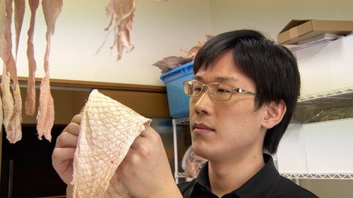 RISING Season 7 Episode 9 - Upcycling Fish Scales into High-End Leather: Fish Leather Pioneer - Noguchi Tomohisa