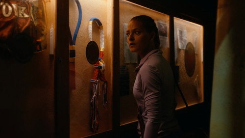 The Sommerdahl Murders Season 5 Episode 5 - A battle for justice (1)