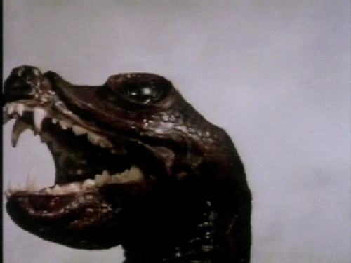 Doctor Who Season 13 Episode 3 - Terror of the Zygons (3)