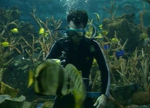 Bill Nye the Science Guy Season 3 Episode 15 - Fish