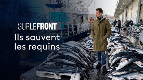 Sur le front Season 2 Episode 11 - Episode 11