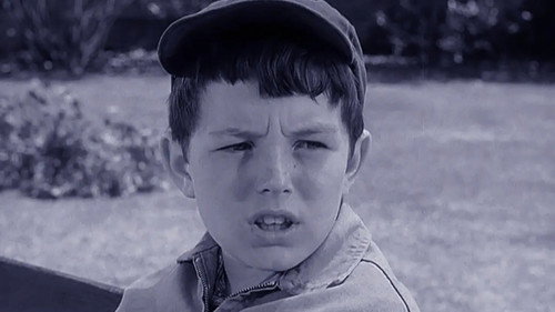 Leave It to Beaver Season 3 Episode 10 - Beaver's Fortune