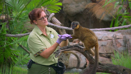 One Day at Disney Season 1 Episode 14 - Kris Becker: Animal Keeper