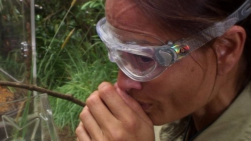 I'm a Celebrity...Get Me Out of Here! Season 14 Episode 18 - Critter Conveyor